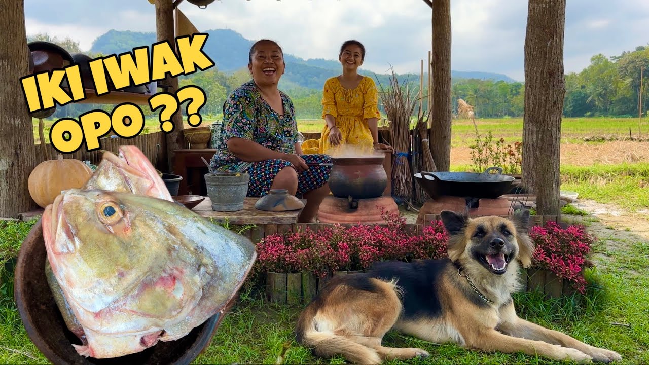 KEPALA IKAN JUMBO || ADA YANG TAU INI IKAN APA ?
