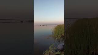 озеро Кабаны #северныйказахстан #карась #природа #fishing #рыбалканакарася