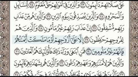 سورة المعارج الصفحة 569 الشيخ محمد صديق المنشاوي