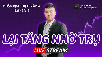 Nhận Định Thị Trường Chứng Khoán 24/12: Vnindex Tăng Về Điểm Số. Nên Làm Gì Khi Danh Mục Đi Xuống?