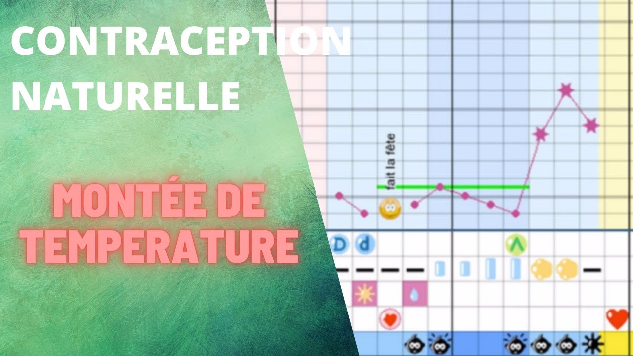 Symptothermie Temperature : qu'est-ce qu'une Belle Montée ?
