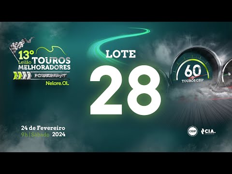 Lote 28 - V7002822 - 13º Leilão de Touros Melhoradores Nelore OL - Edição Virtual