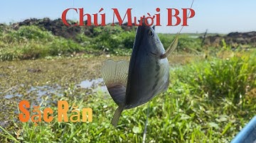 Khai Cần Đầu Năm Với Bộ Môn Câu Cá Sặc Rằn Tại Bù Đốp