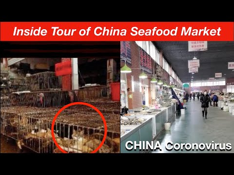 china-virus-wuhan-coronavirus:-take-a-inside-tour-of-a-real-china-seafood-market.