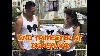 You Can Go to Disneyland While Pregnant