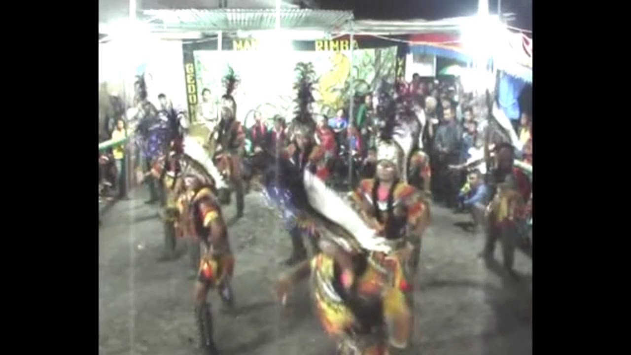 MANUSIA RIMBA GEDONGAN _ FLASH BACK _