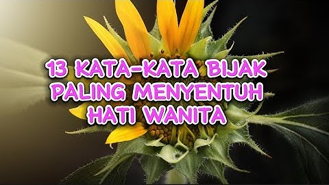 KATA-KATA BIJAK PALING MENYENTUH HATI WANITA