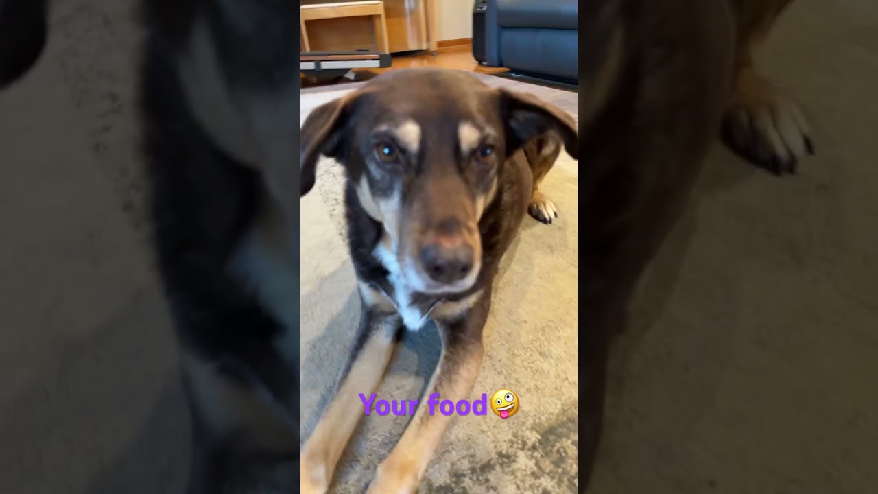 Comment “🦴” if you think I should give 