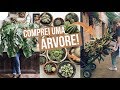 TOUR PELO CEAGESP: melhores plantas e preços! 🌿 | Marieli Mallmann