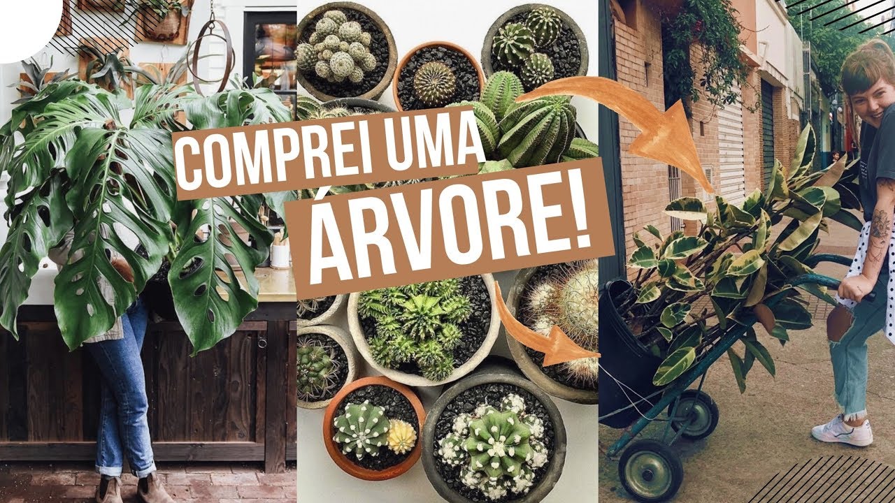 TOUR PELO CEAGESP: melhores plantas e preços! 🌿 | Marieli Mallmann -  thptnganamst.edu.vn