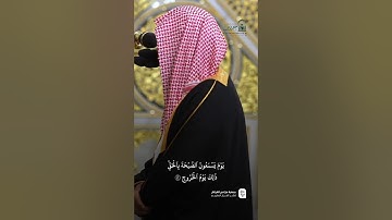 مقتطف من تلاوة فضيلة الشيخ د.  #أحمد_الحذيفي  من صلاة الفجر الثلاثاء ١٥ ذو القعدة ١٤٤٦ هـ.
