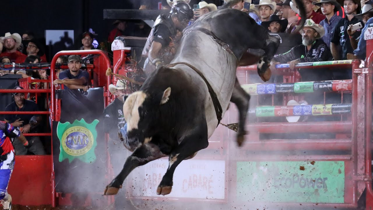 Peão é pisoteado e leva chifrada de touro em Rodeio de Barretos