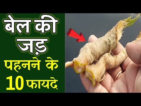 वीडियो: ऑस्ट्रिया में 3 एस विला