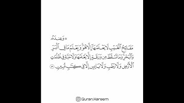 القارئ سعد الغامدي - سورة الأنعام - الآية 59