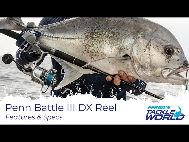 Penn Battle III DX Spin Reel - Fergo's Tackle World