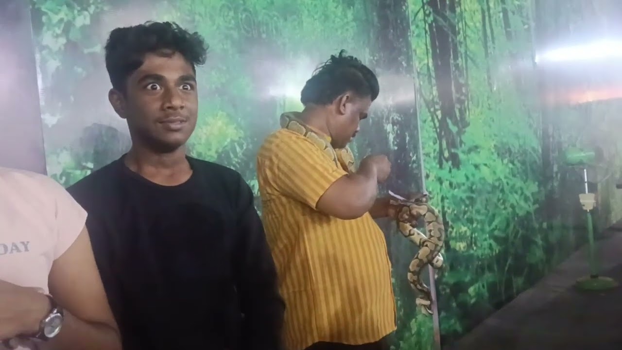 ചാലിശ്ശേരി സരസു മേള