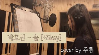 박효신 - 숨 ( Breath ) +5key [COVER BY 주롱(Jurong)]