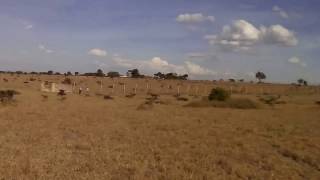 video of property for sale in Kajiado Kenya