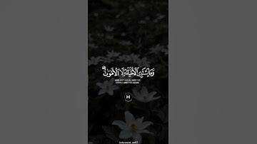 ﴿وَما يَستَوِي الأَعمى وَالبَصيرُ﴾ [فاطر: ١٩]القارئ هيثم الدخين