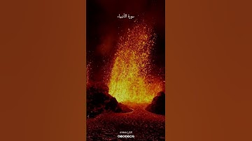 #سورة_الأنبياء #الشيخ_ياسر_الدوسري #قرآن #quran #al1thekr #kuran #quran_alkarim
