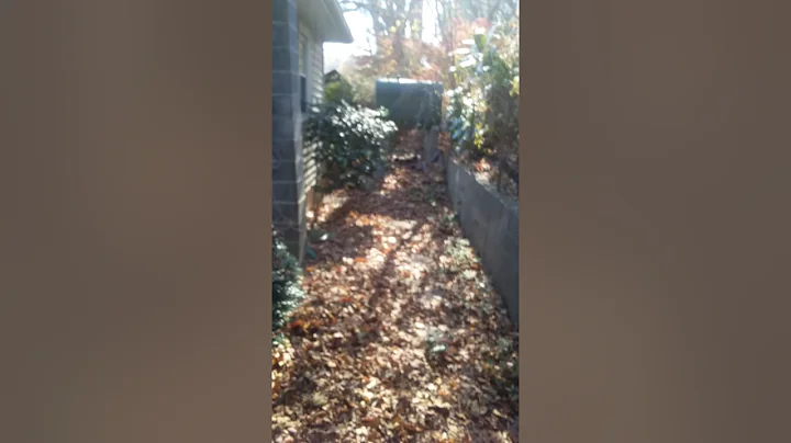 Lily's new house ?