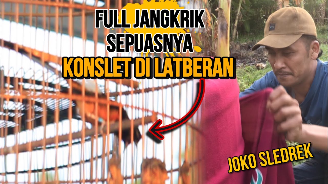 Selera para juragan‼️full jangkrik KONSLET di latberan MURAI BATU JOKO SLEDREK H.KUSNADI