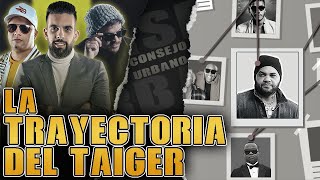 CONSEJO URBANO: Evolución del TAIGER. | ¿Por que lo pega TODO?