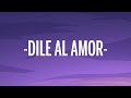 Aventura - Dile Al Amor (Letra/Lyrics)