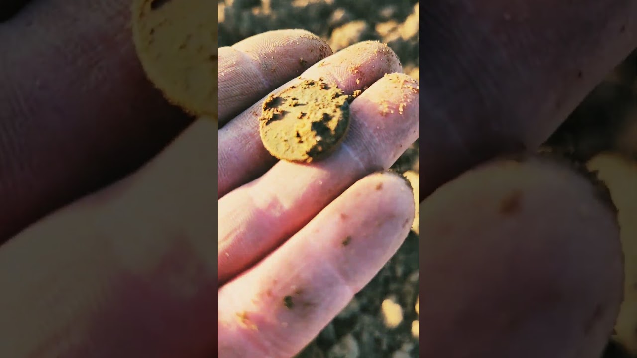 Yes, another to the collection! #2025 #metaldetecting #treasuresearch