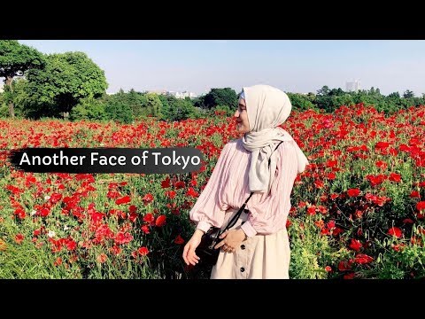 IS THIS TOKYO??? The Most Beautiful Park in Tokyo - Showa Kinen Park