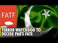 Pak FM Qureshi says no justification to keep Pakistan on FATF's grey list| Latest English News| WION