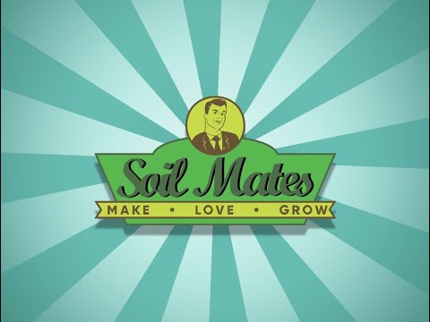 Soil Mates' New Perfect Seed!