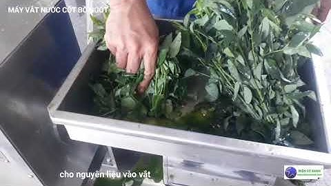 Máy vắt nước cốt cây lá bồ ngót Điện Cơ Xanh 0984467870