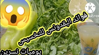 فوائد البقدونس للتخسيس الكرش ونزول الوزن