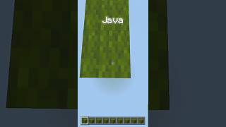 Minecraft Java Vs Bedrock 🥵 #minecraft #shorts