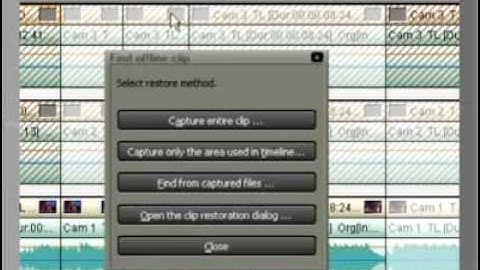 02.02. Clip Restoration [EDIUS 4]