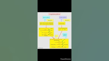 simple coagulation cascade