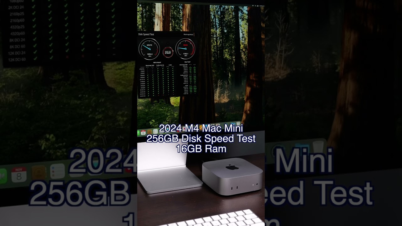M4 Mac Mini 256GB SSD Disk Speed Test - YouTube