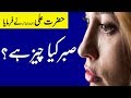 Sabar Kiya Hai | Hazrat Imam Ali as ne Farmaya | Sabr | صبر | Patience | Malomattube