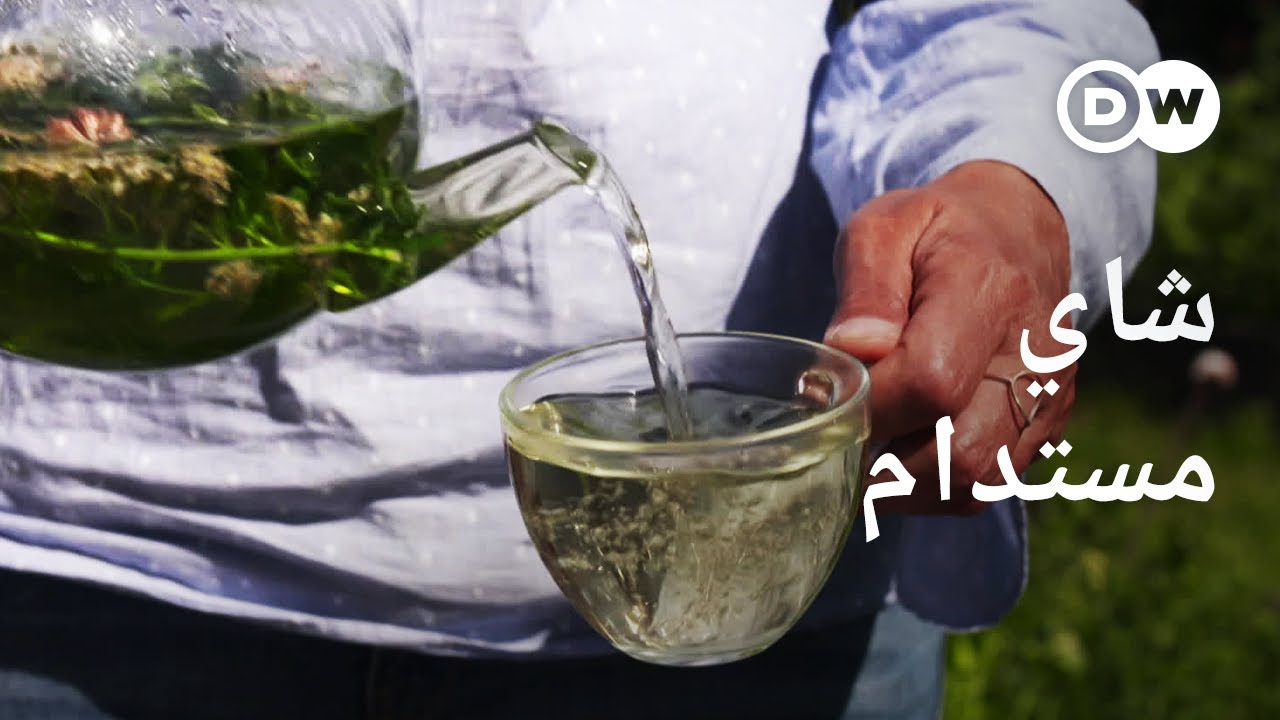 وثائقي | الشاي الأسود - زراعة مستدامة لمشروب تقليدي | وثائقية دي دبليو