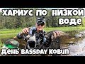 Хариус в августе по низкой воде, День Bassday Kobun, Вологодская область.