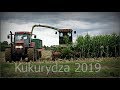 ☆Kukurydza na kiszonkę 2019 ☆ JAGUAR 690SL