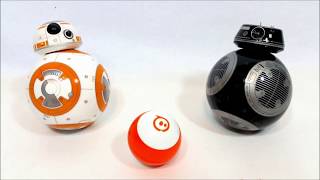 Celebrity Sphero mini blogger review Net Worth