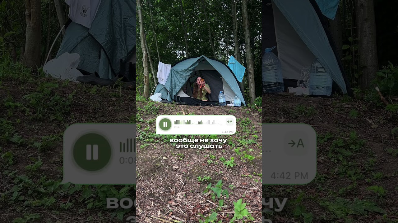 Бот Буквица переводит аудио и видео в текст за считанные минуты