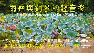 《雨聲與鋼琴的輕音樂》 #沉浸式音樂#獨處音樂  #放鬆心情 #疗愈歌曲 #nature #助眠#輕音樂#晨曦中的鋼琴#輕音樂的魅力#light #nature #治愈音乐 #清晨的音樂