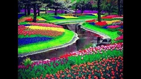 ماتيسر من سورة المؤمنون بصوت الشيخ ابراهيم الجبرين