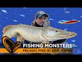 Fishing monsters for pelagic pike with erik visser pike