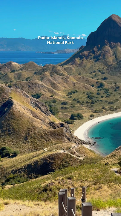 Padar Island is straight out of a dream—hills, beaches, and views that blow your mind #indonesia