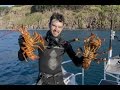 Fishing & Adventure Season 4 Ep 2 - RAGLAN