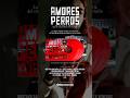La banda sonora de 'Amores Perros' es considerada una joya del cine y ya puedes tenerla en vinilo